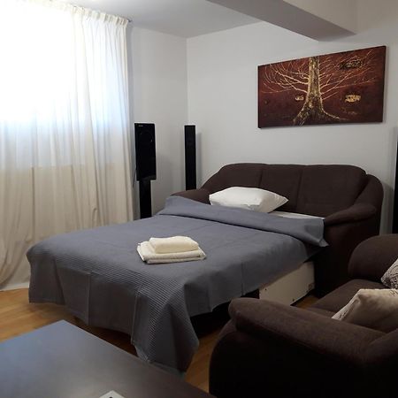 Papas Apartments Bucurestii Noi Номер фото